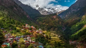 shimla manali honeymoon package
